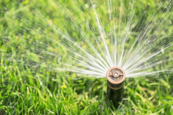 Cost of Spigot Installation in Vancouver